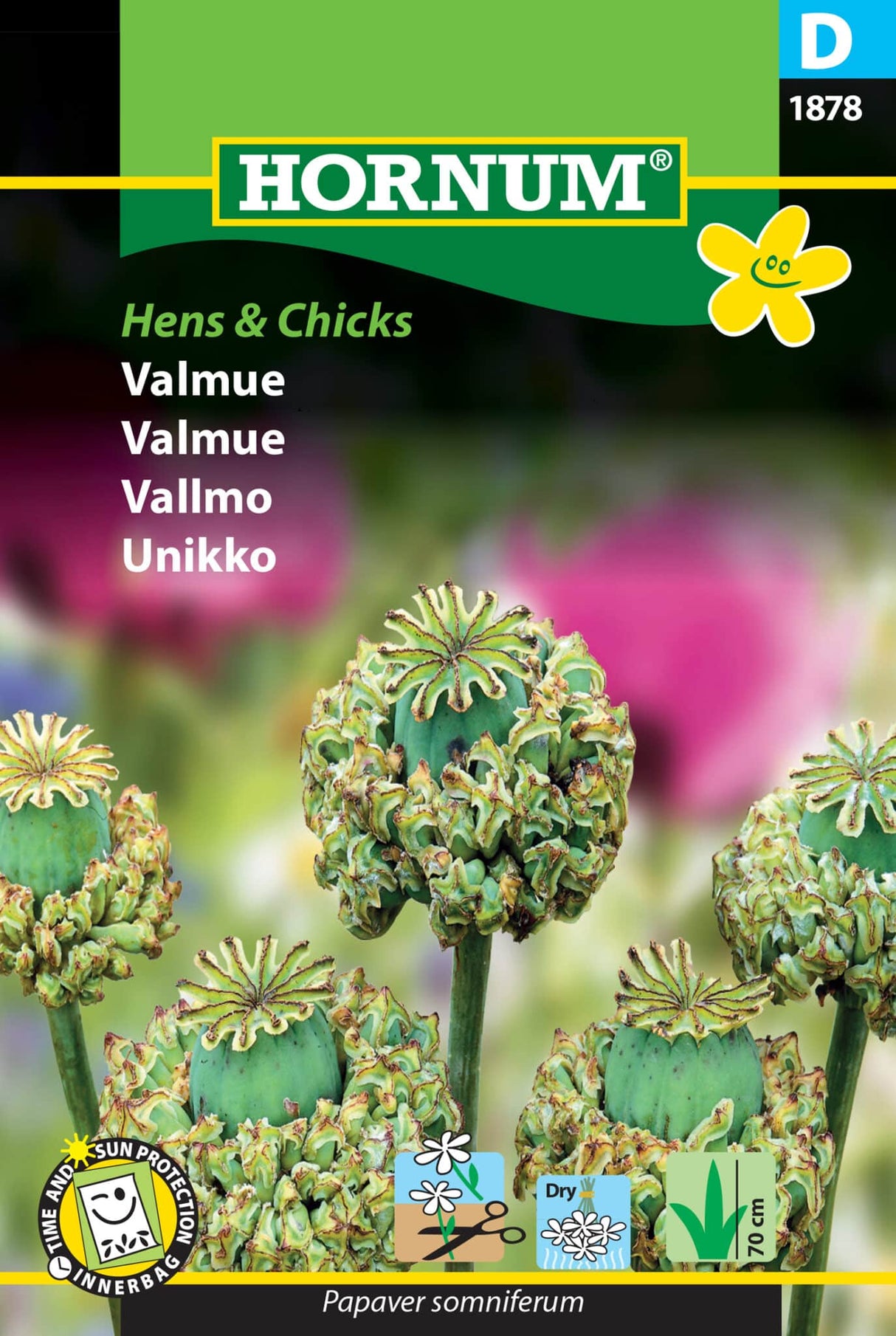 Valmue 'Hens & Chicks' Frø