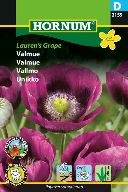 Valmue 'Lauren's Grape' Frø