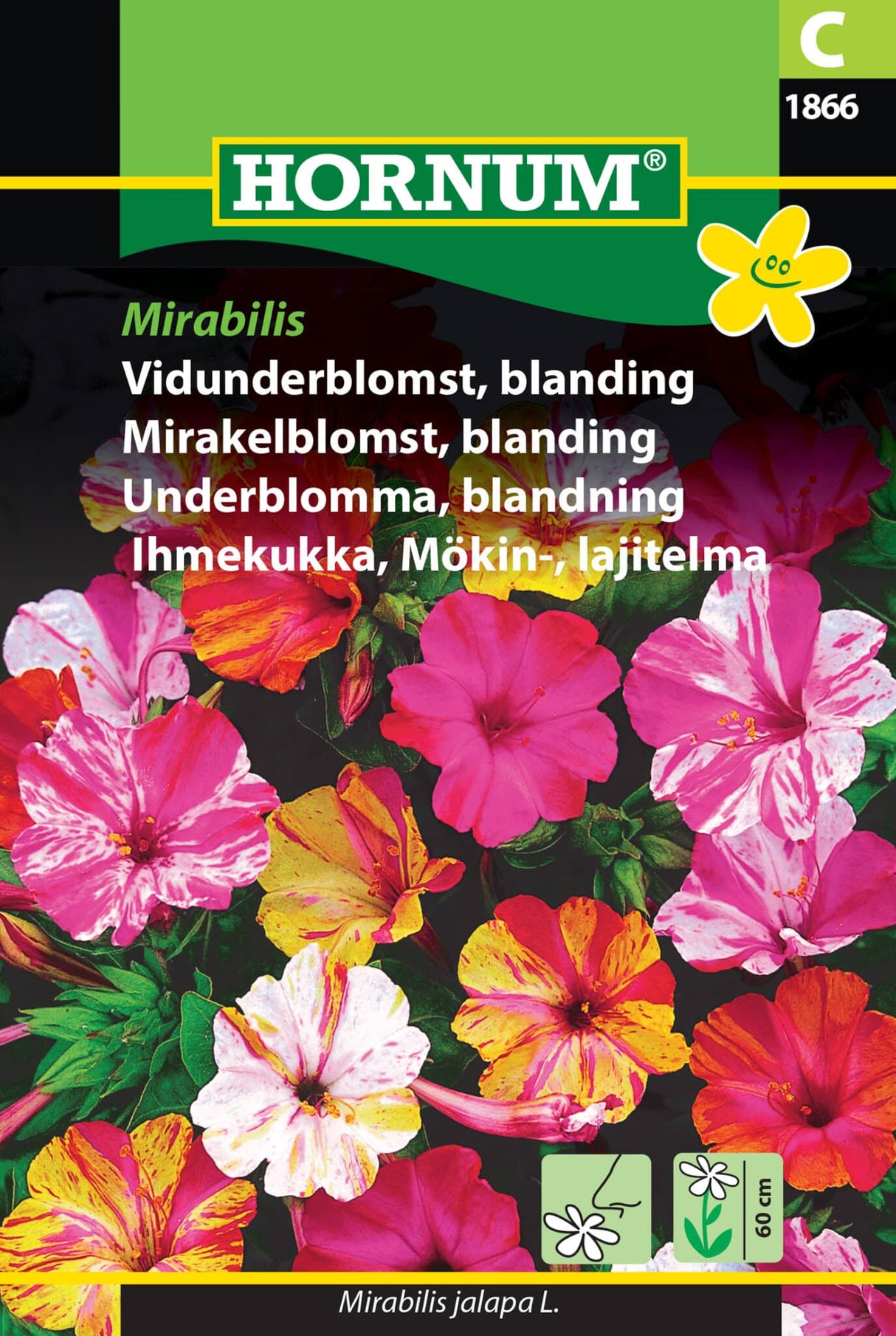 Vidunderblomst 'Mirabilis' Frøblanding