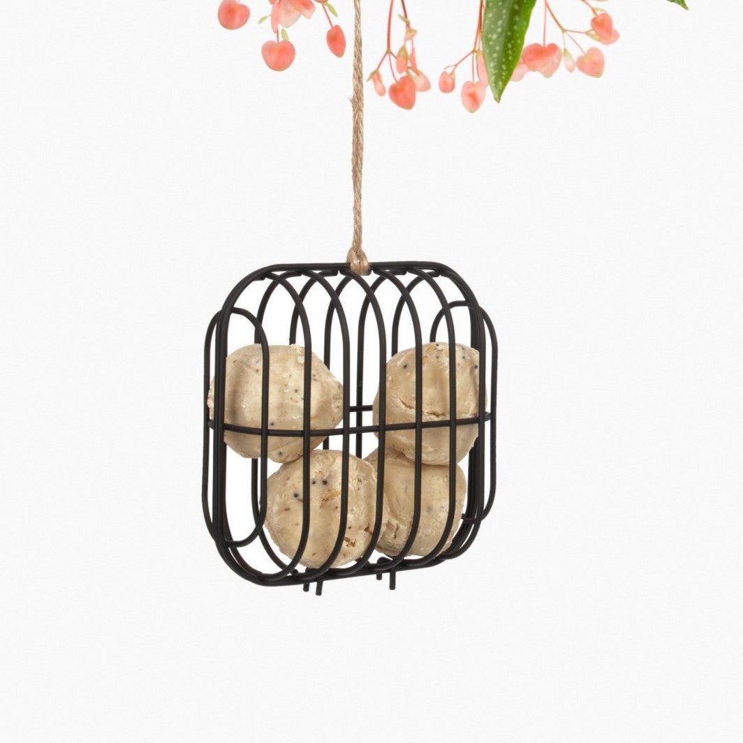 'Dex' Fuglefoderbeholder