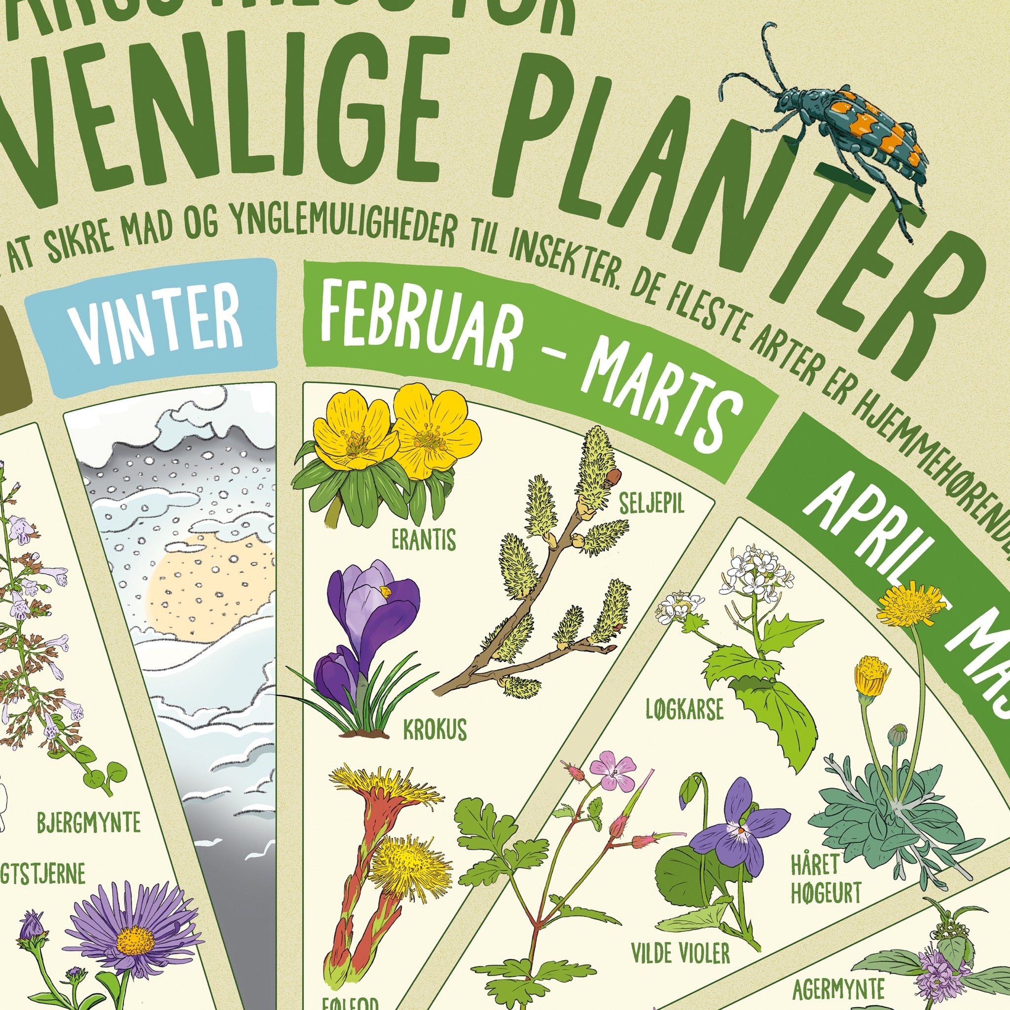 Insektvenlige planter' plakat