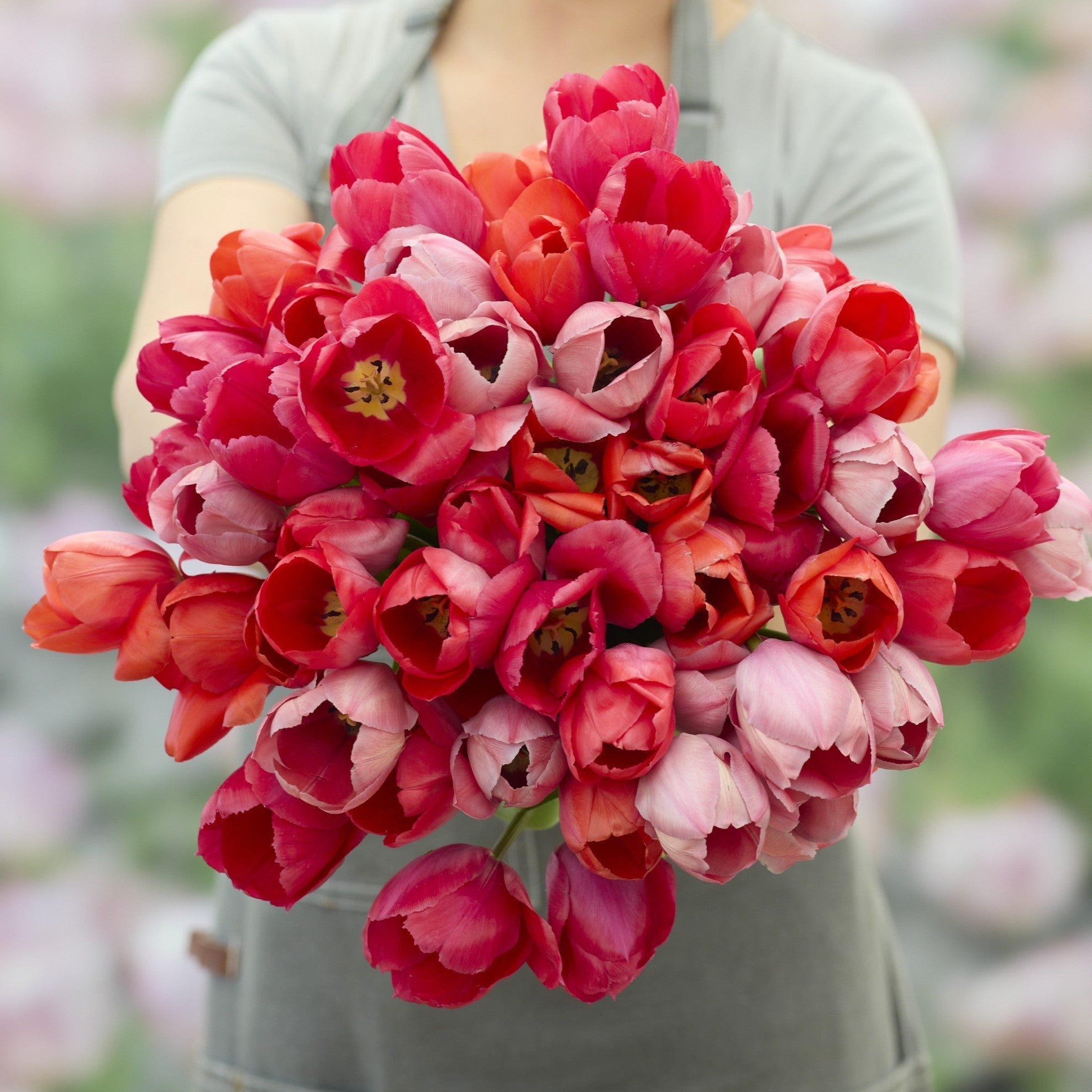 Alle Blomsterløg Mix - Løgbutikken