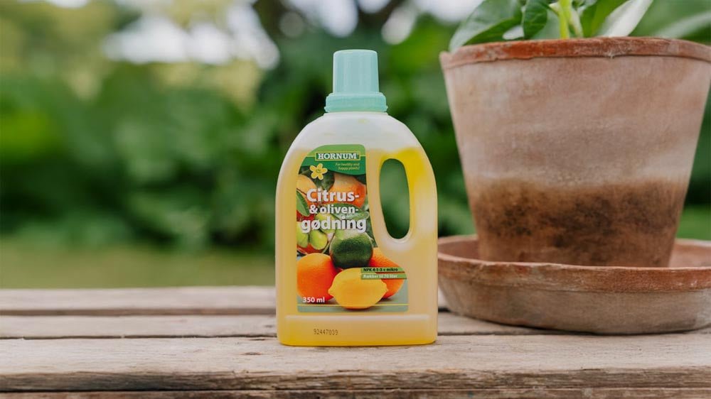 Citrus gødning - Løgbutikken