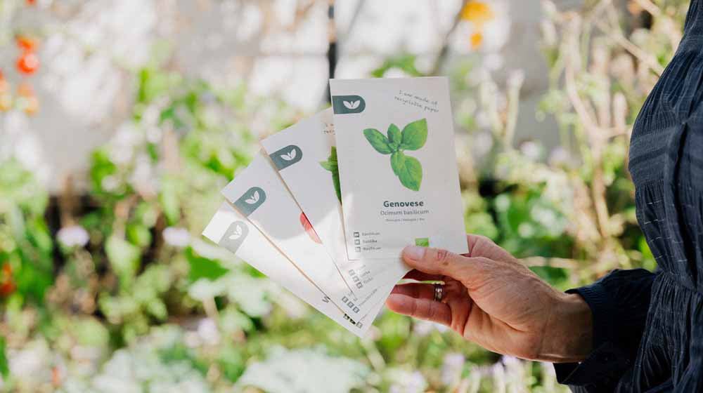 Krydderurtefrø - Løgbutikken