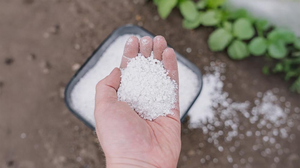 Perlite - Løgbutikken