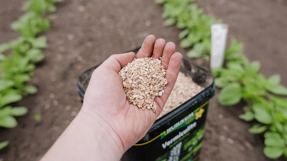 Vermiculite - Løgbutikken