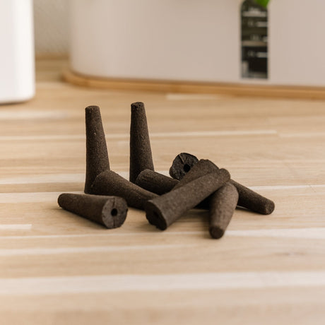 10x Plantesvampe til indendørs køkkenhaver