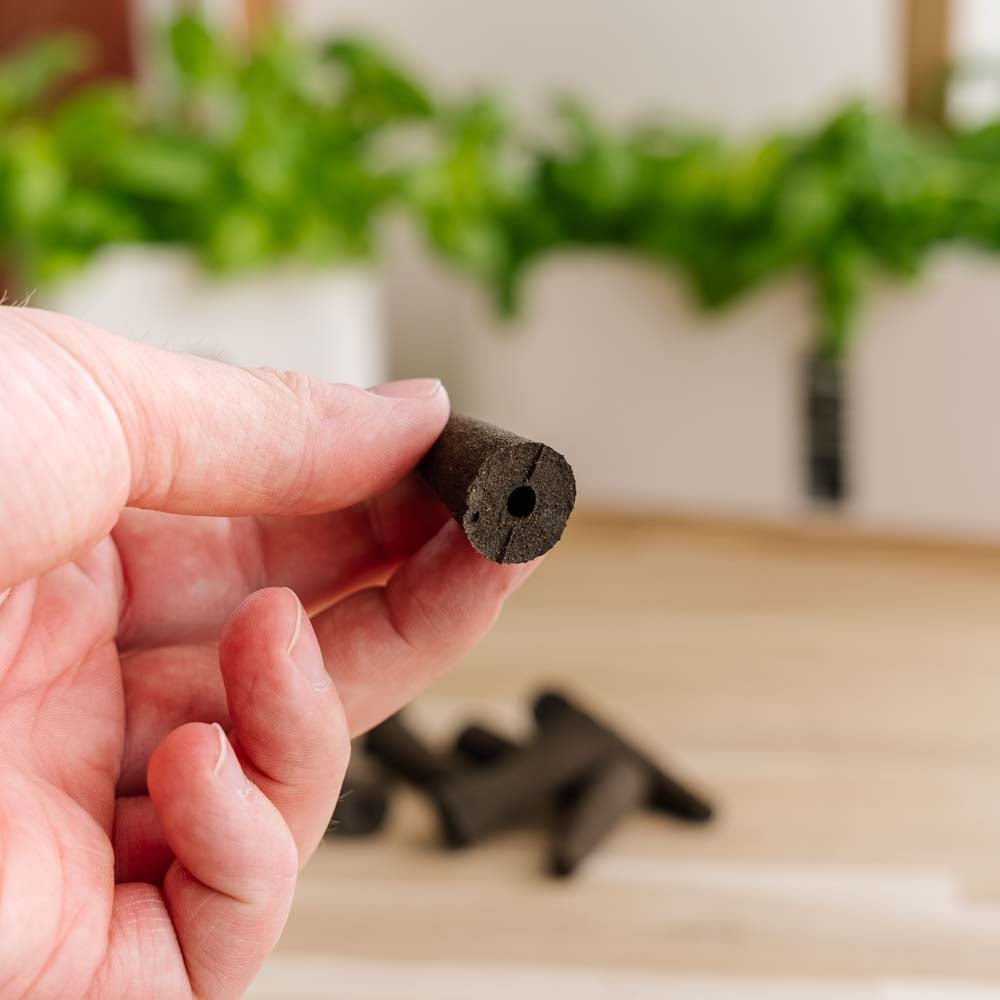 10x Plantesvampe til indendørs køkkenhaver