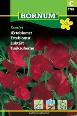 Ærteblomst 'Scarlet' Frø