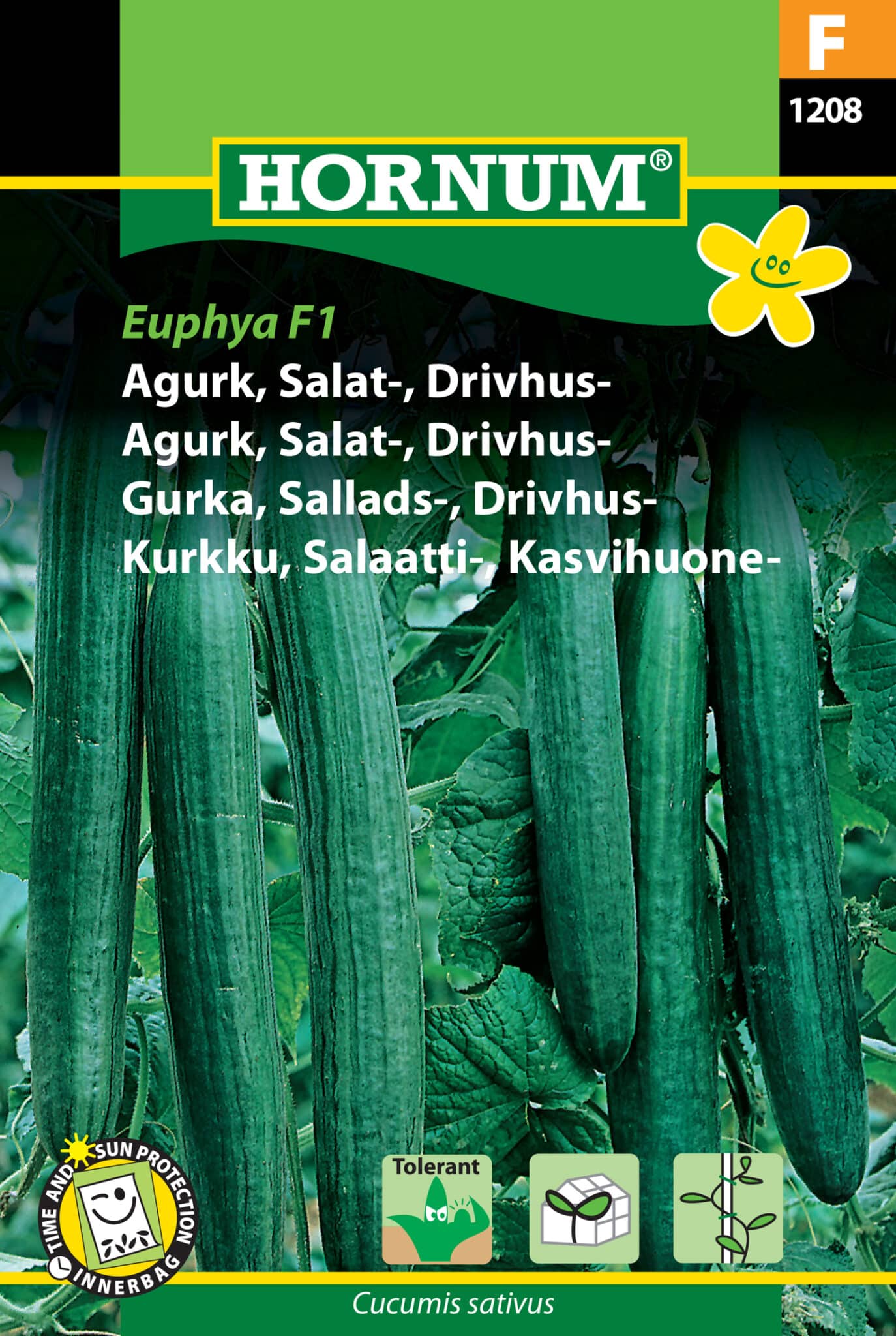 Agurk Salat Drivhus 'Euphya F1' Frø