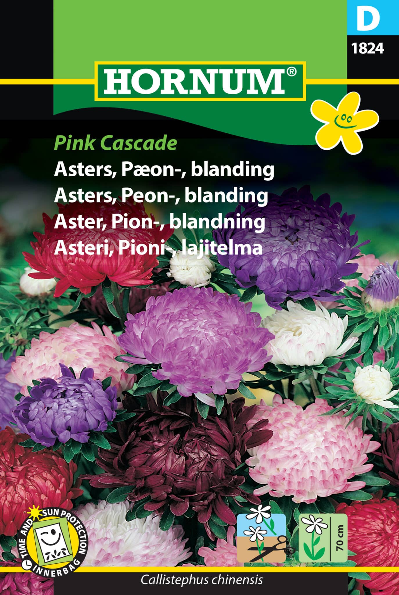 Asters 'Pink Cascade' Frøblanding