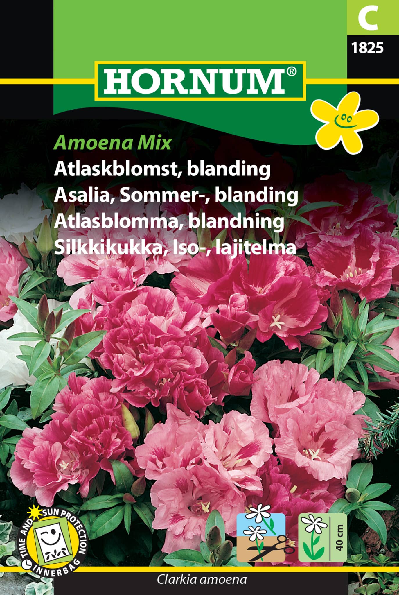 Atlaskblomst 'Amoena Mix' Frøblanding