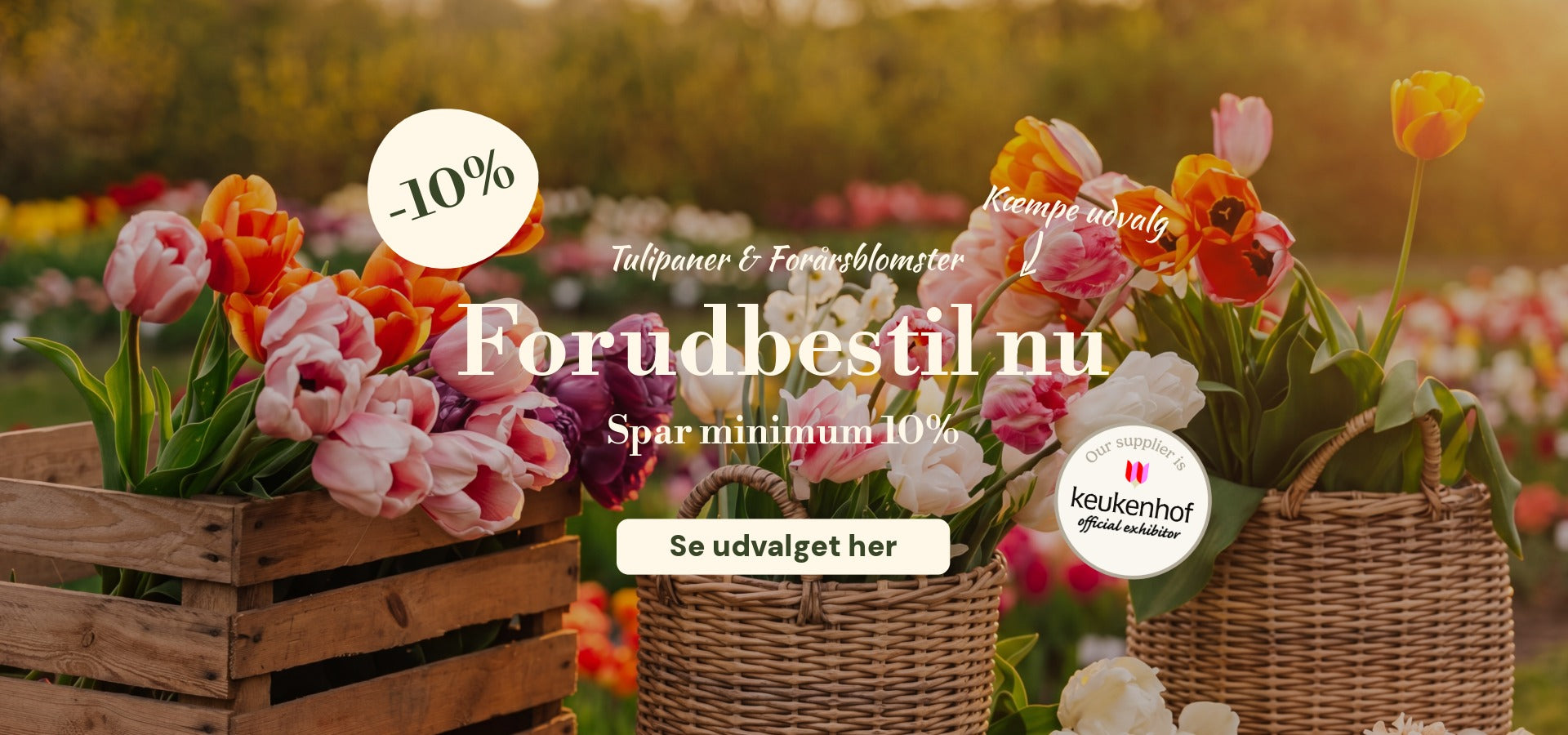 slider image slider_item_VLmdQj