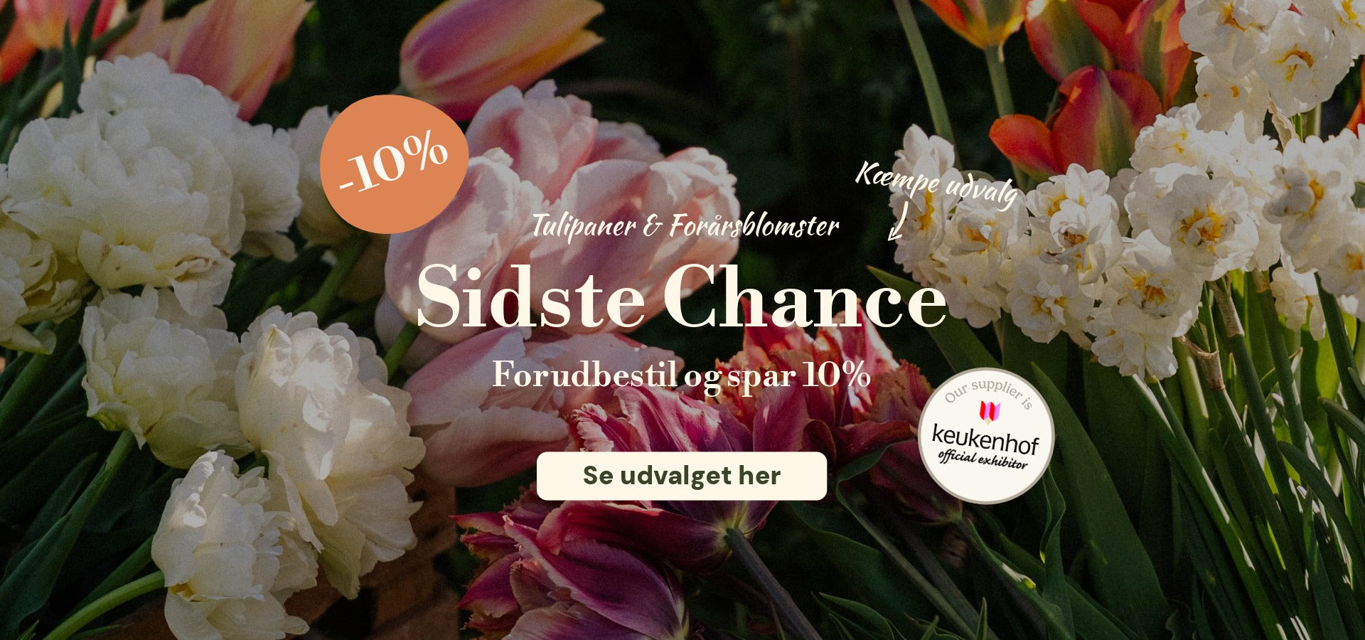 slider image slider_item_VLmdQj