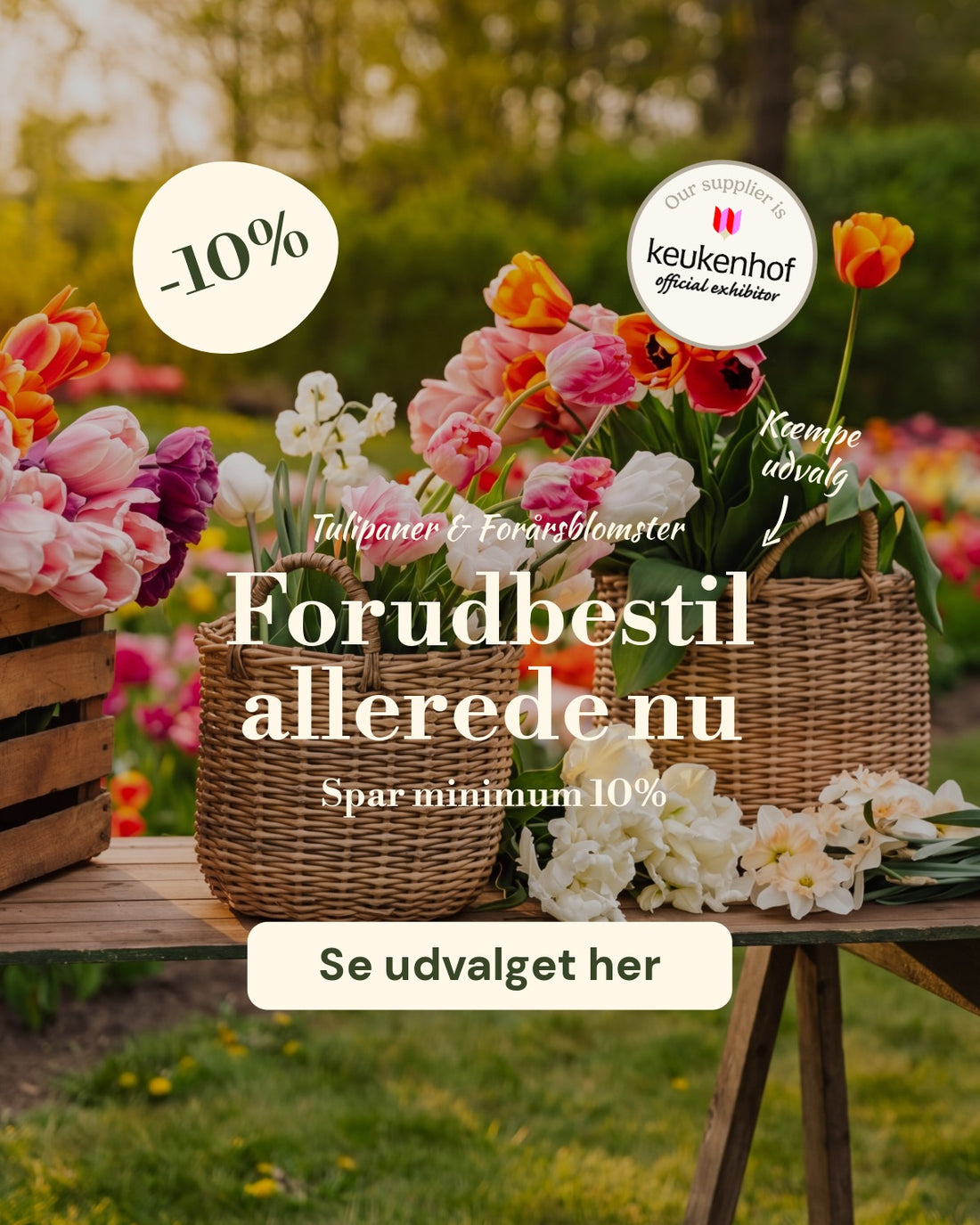 slider image slider_item_VLmdQj