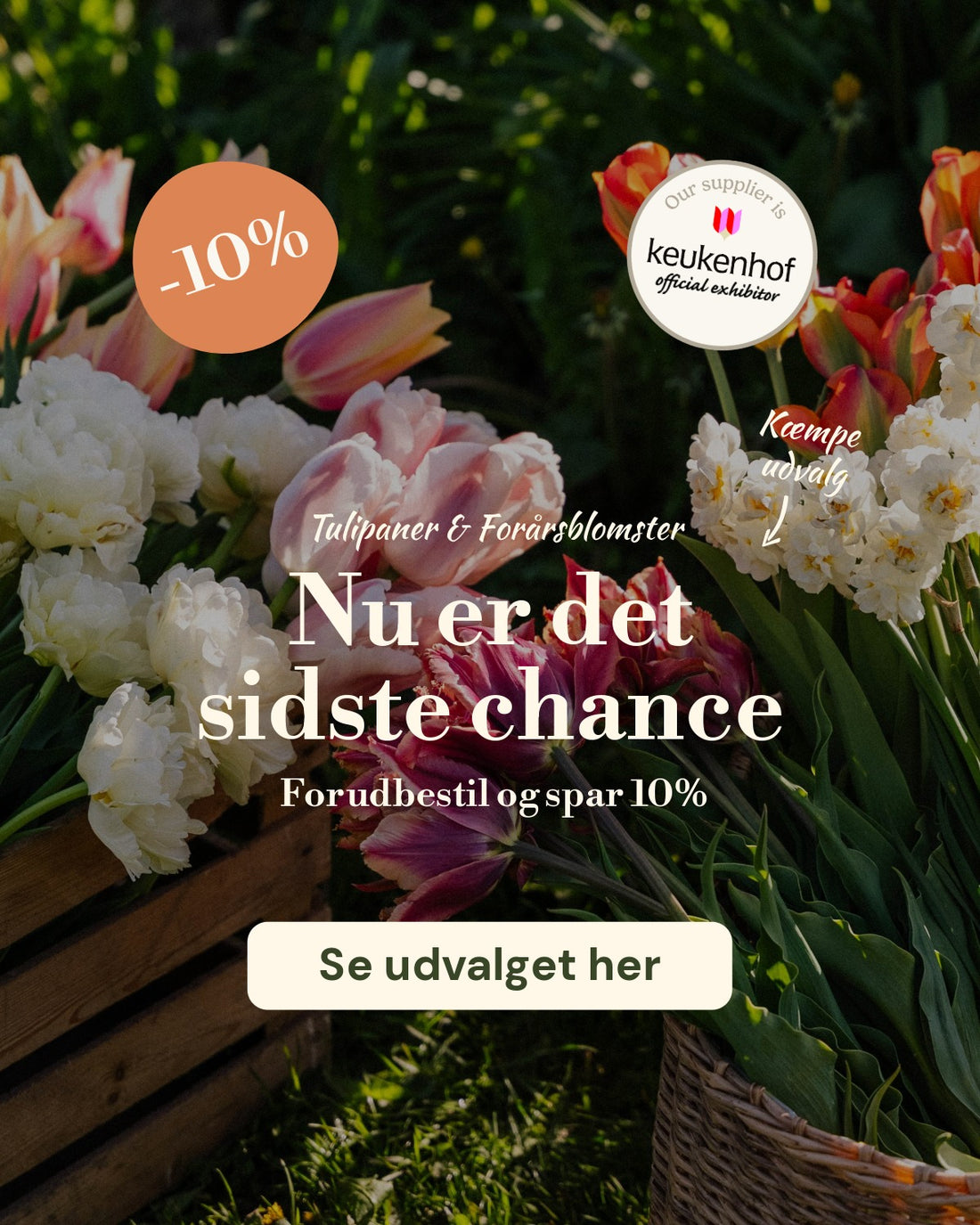 slider image slider_item_VLmdQj