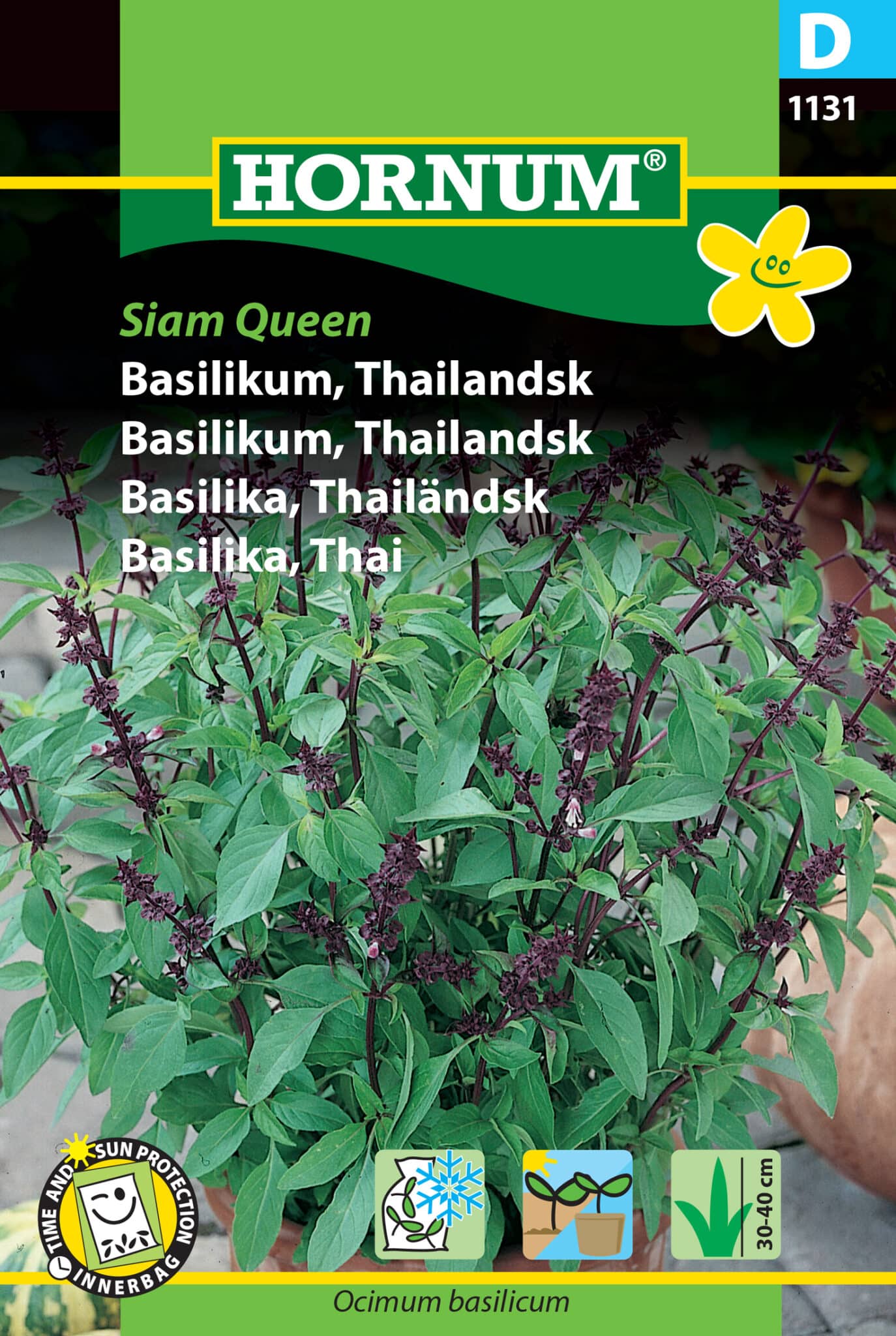 Basilikum Thailandsk 'Siam Queen' Frø