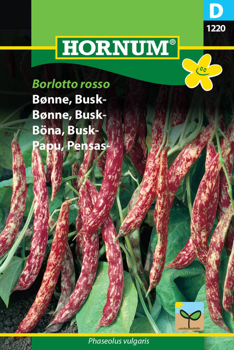 Bønne busk 'Borlotto Rosso' Frø Løgbutikken