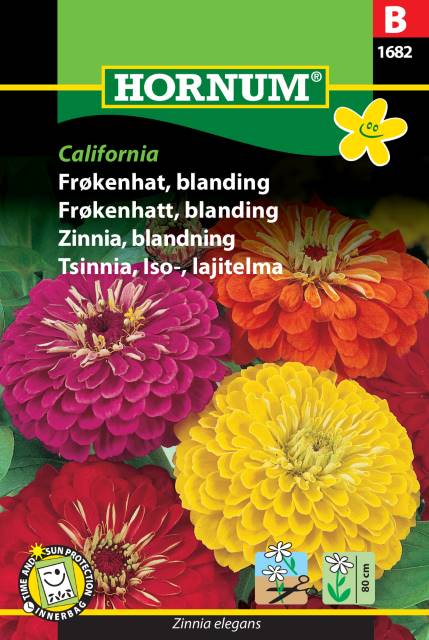 Frøkenhat 'California' Frøblanding