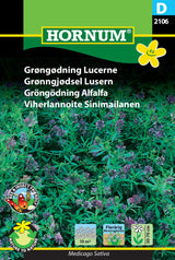 Grøngødning Lucerne Frø