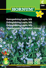 Grøngødning Lupin Frø