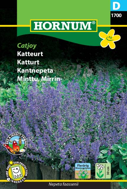 Katteurt, Nepeta faassenii Frø