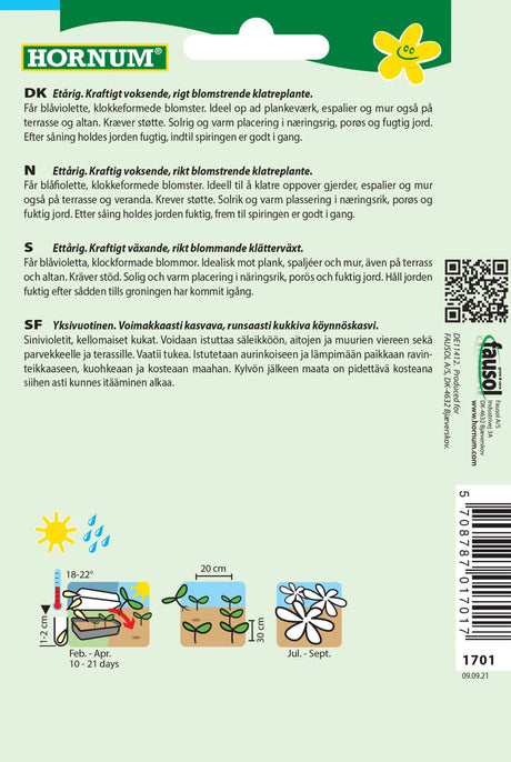 Klokkeranke 'Viola' Frø