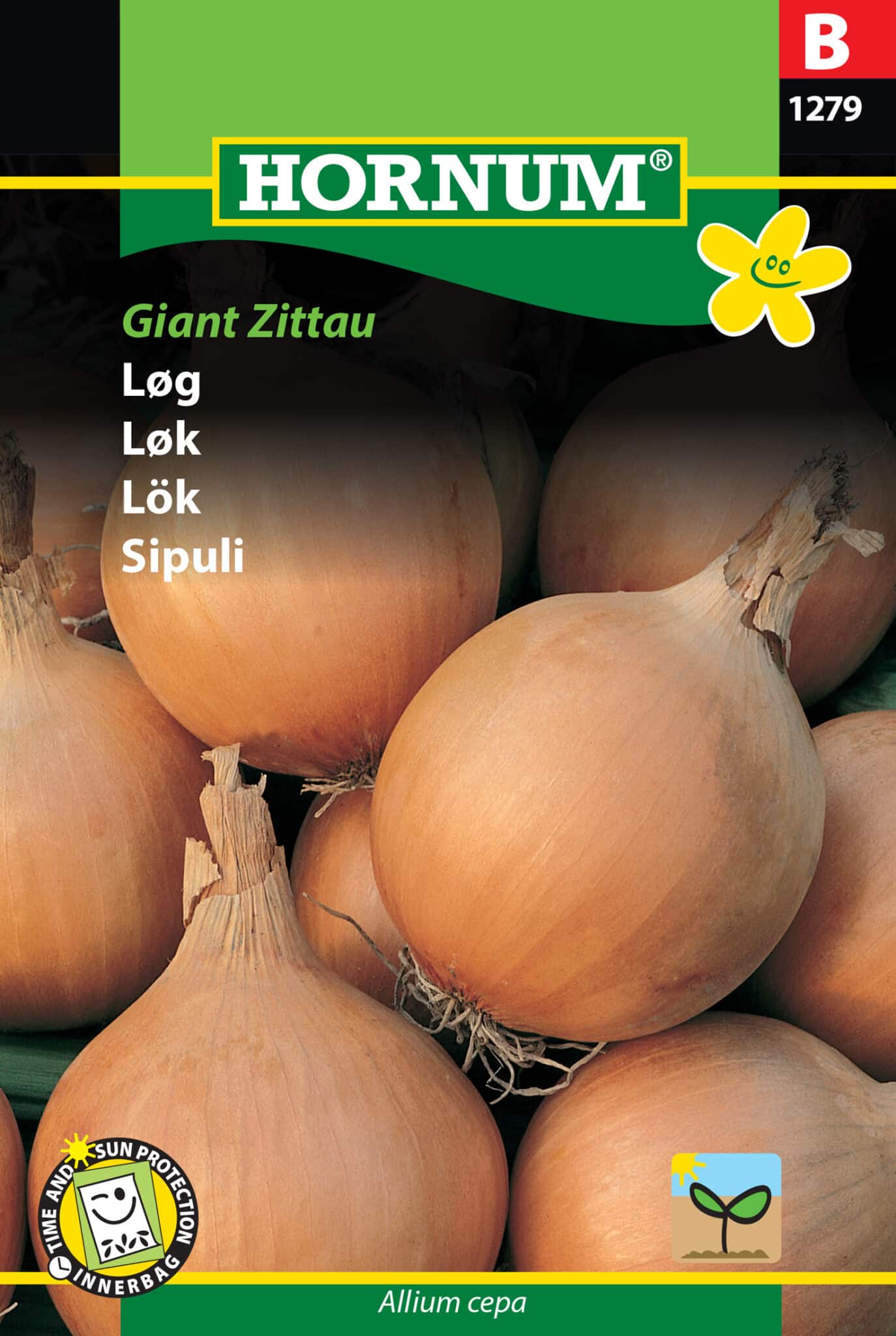 Løg 'Giant Zittau' Frø