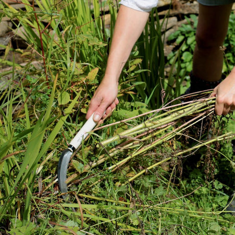 Niwaki kurvet 'Segl'