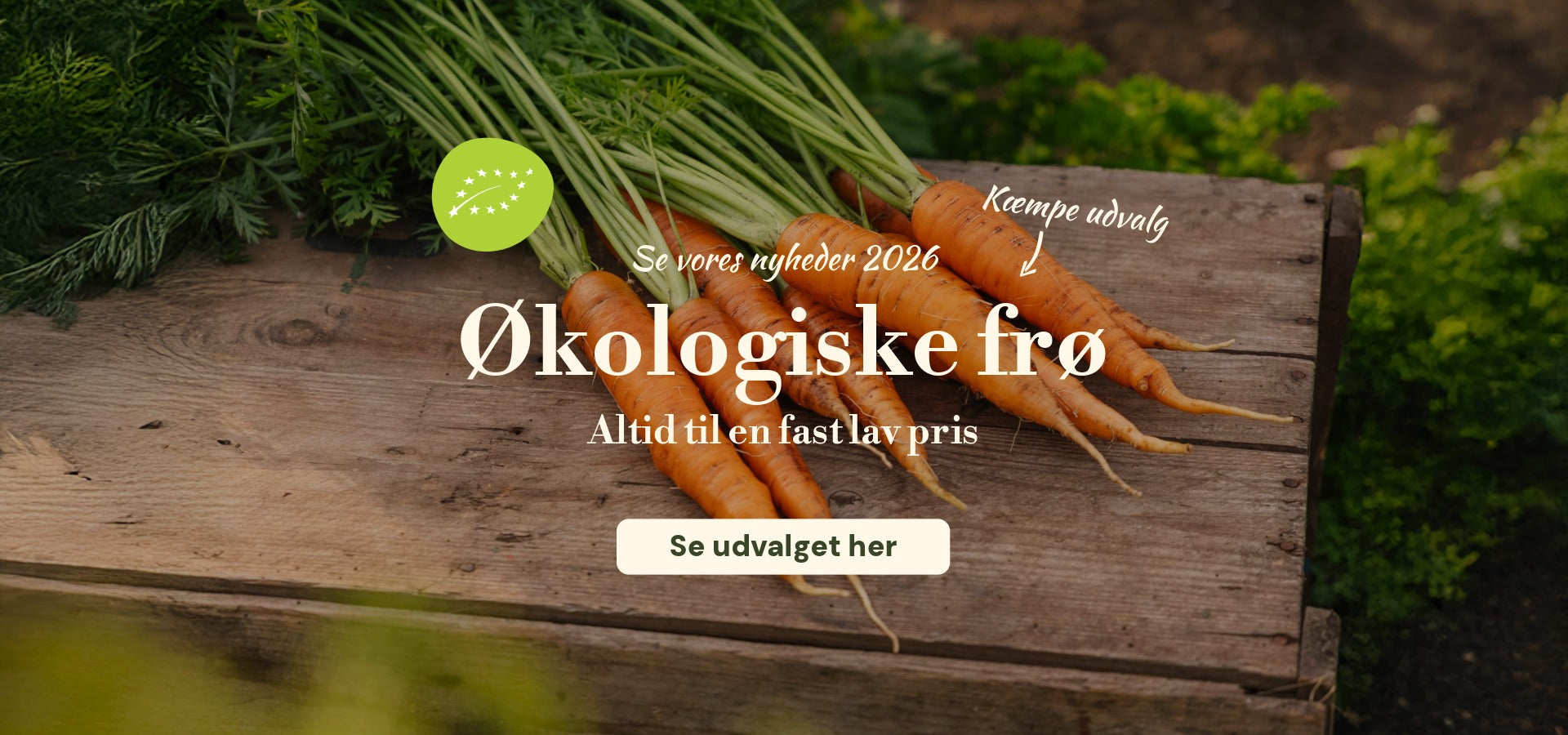 slider image slider_item_j6HeEe