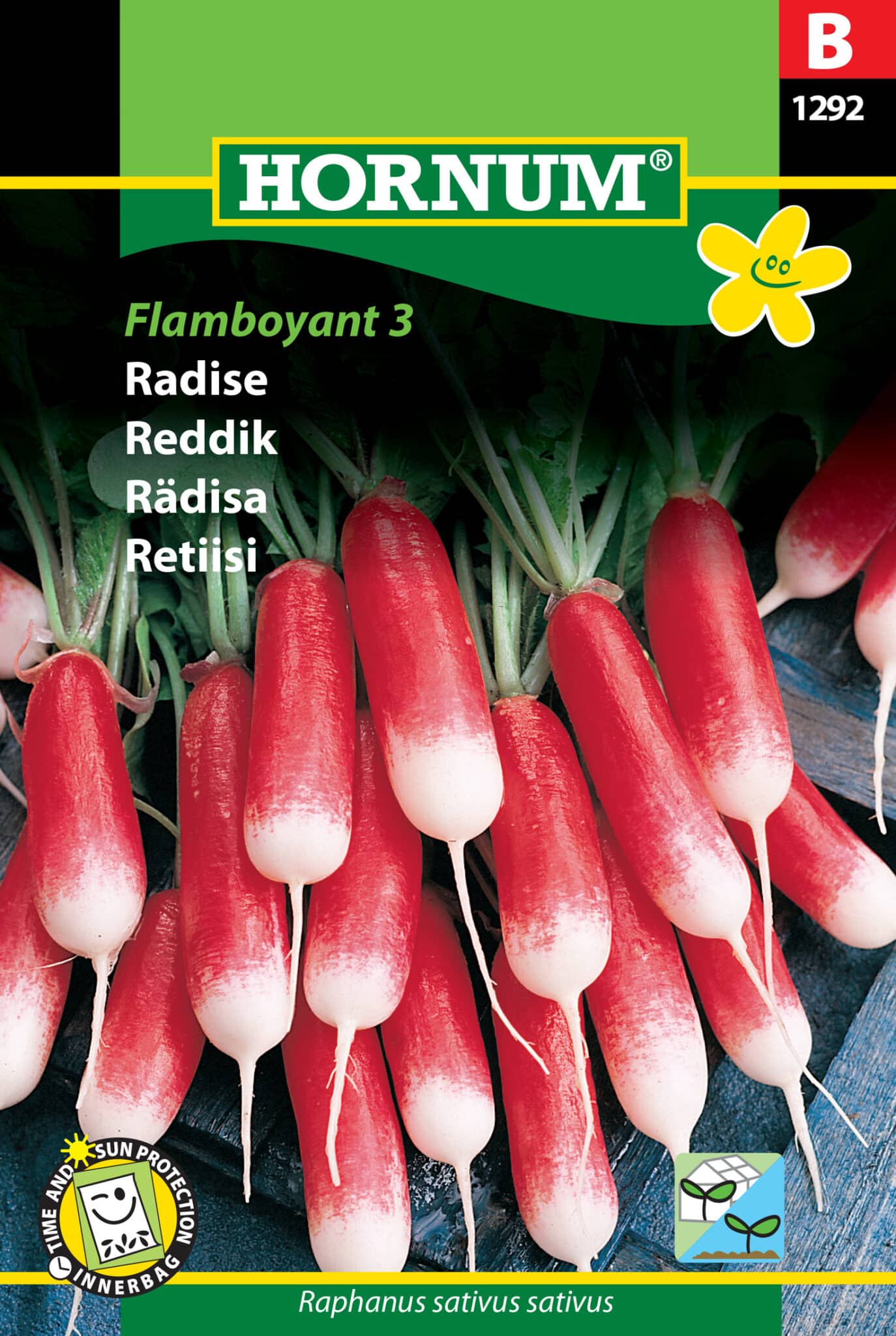 Radise 'Flamboyant' 3 Frø