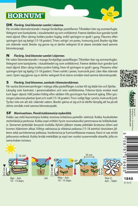 Røllike 'Summer Pastels' Frøblanding