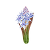 Forårsblomster