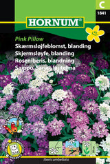 Skærmsløjfeblomst 'Pink Willow' Frøblanding