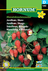 Skovjordbær 'Monatsbowlenzauber' Frø