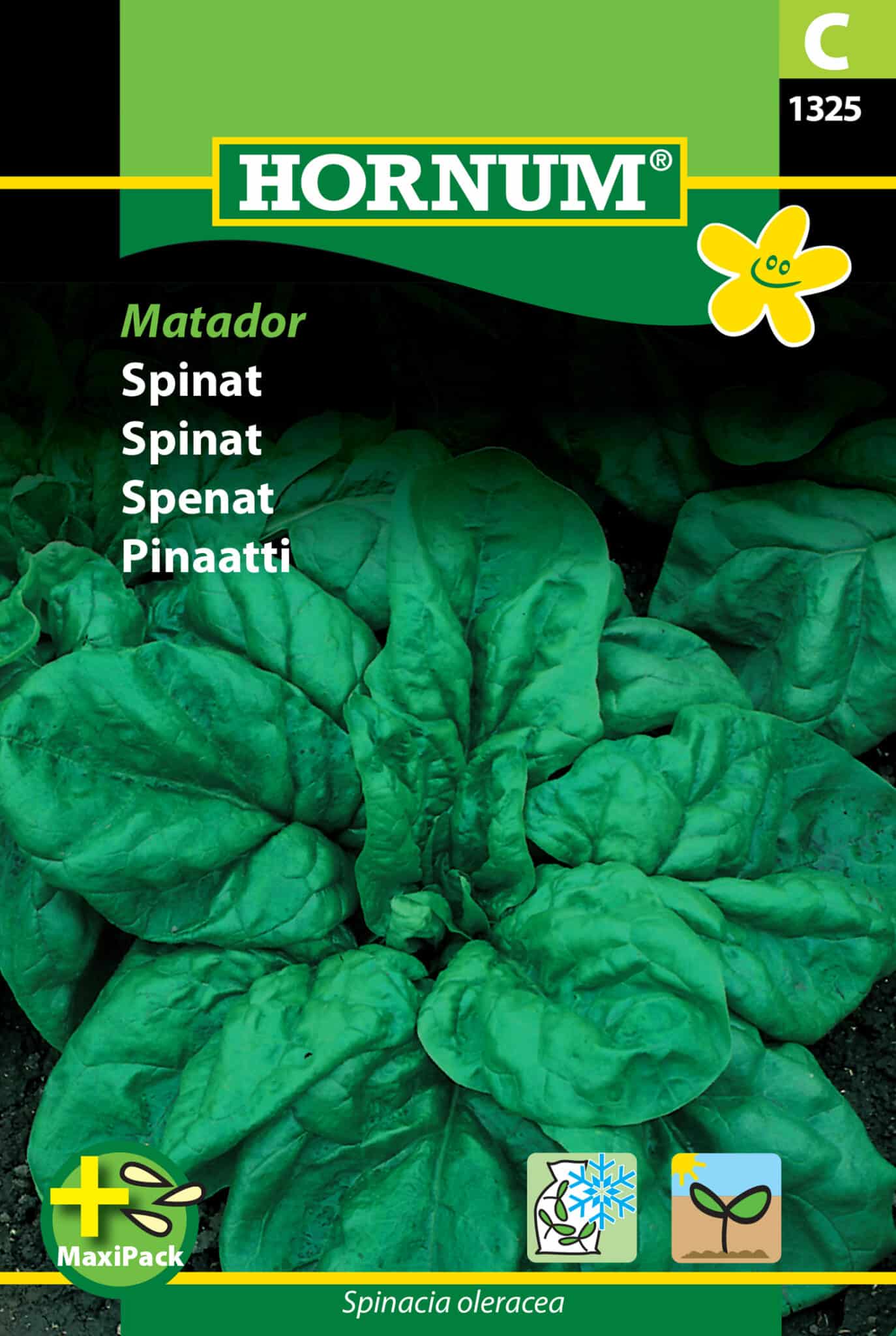 Spinat 'Matador' Frø