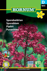 Sporebaldrian Frø