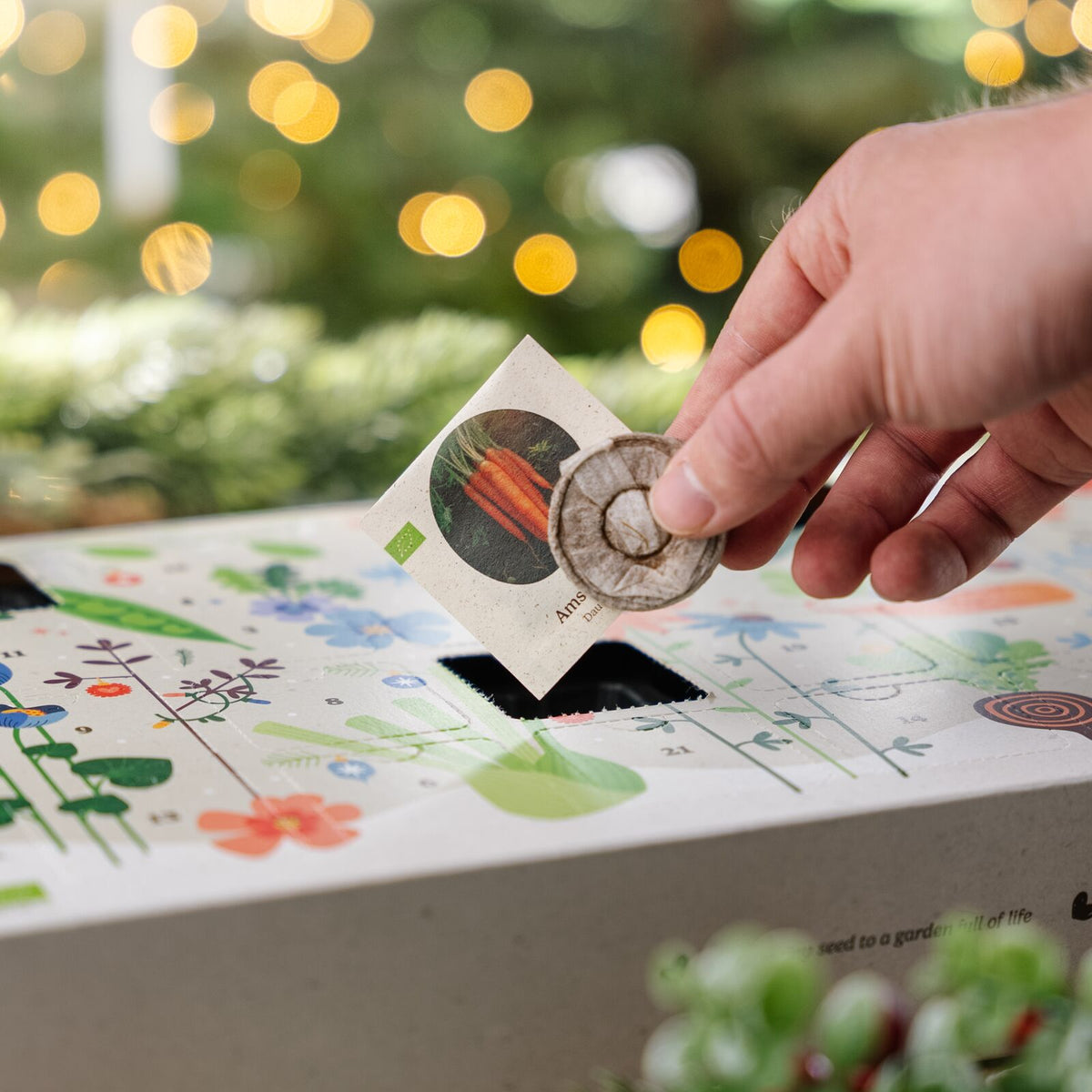Årets Frø Julekalender