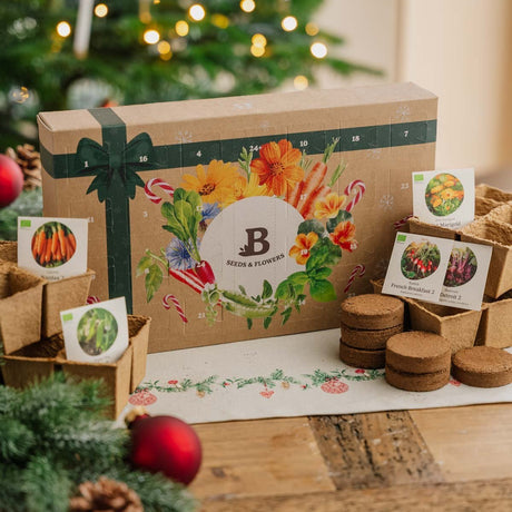 Årets Frø Julekalender