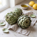Artiskok 'Green Globe'