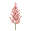 Astilbe barrodsplanter / Pragtspir