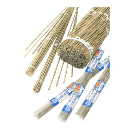 Bambuspinde bundt, L 60 cm, 20 stk.