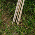 Blomsterpinde. H60 cm 10 stk./bdt.