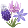 Forårsblomster