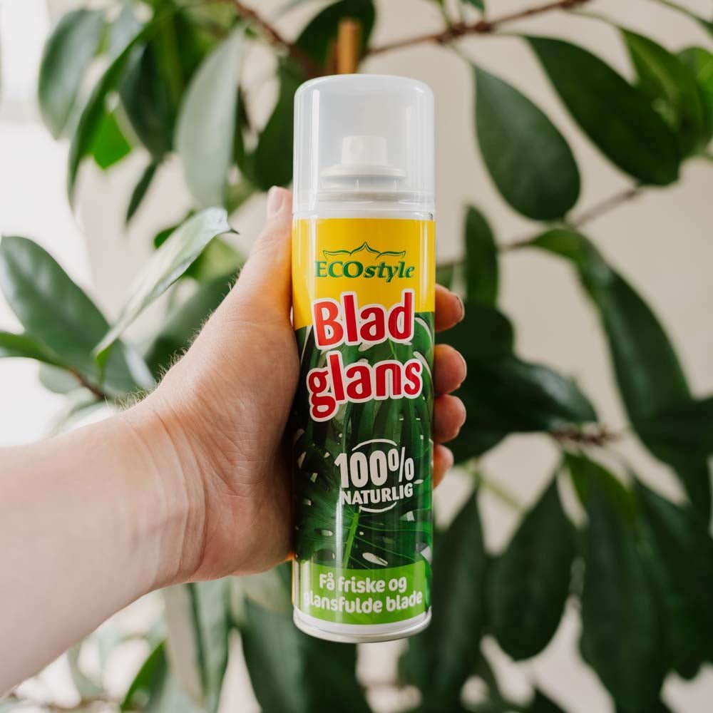 ECOstyle Bladglans 200 ml