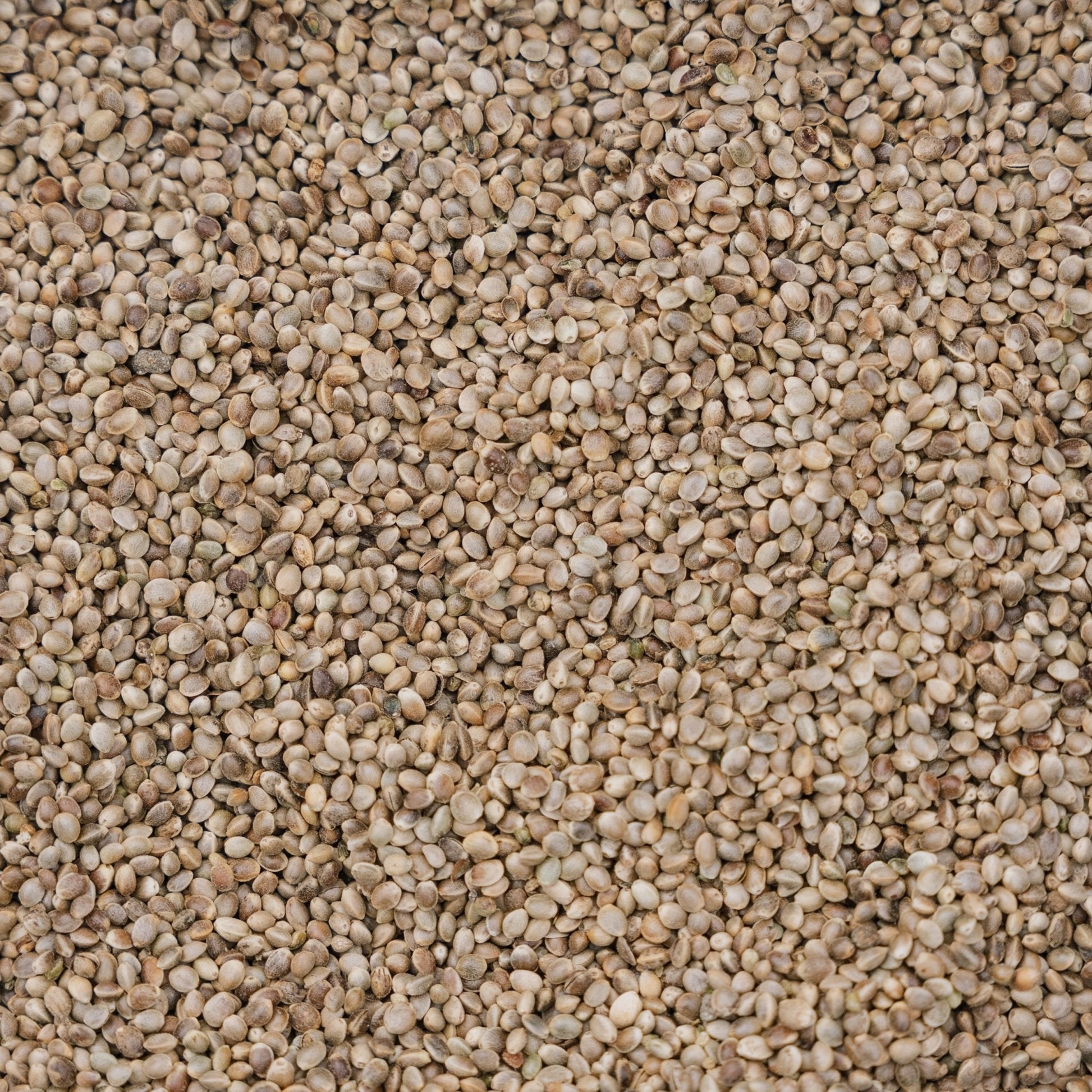 Fuglefoder, Hemp de Luxe, 5 L