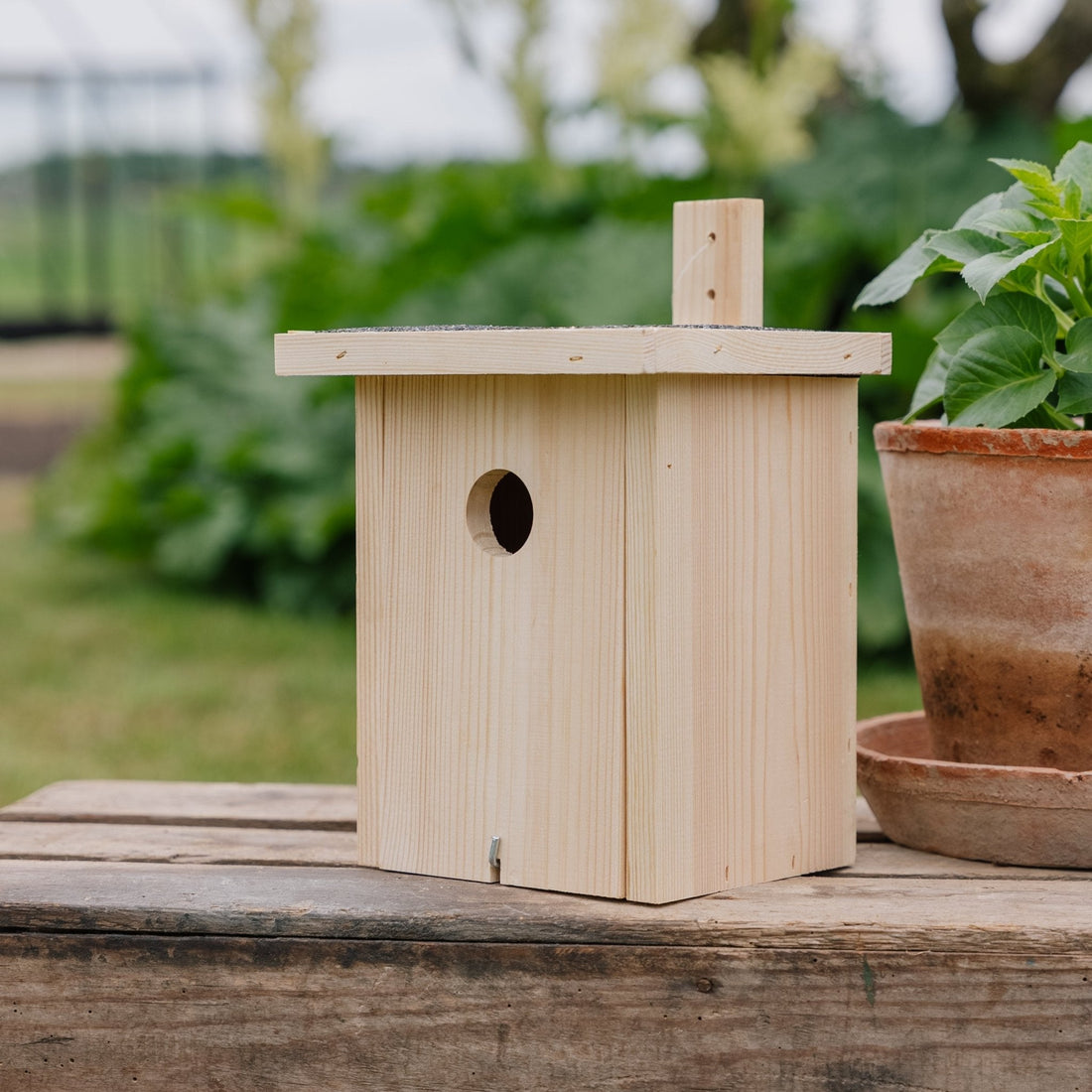 Fuglehus, natur, L: 19 cm B: 19 cm H: 22 cm