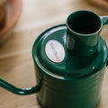 Indendørs metalvandkande, 1 L, skovgrøn