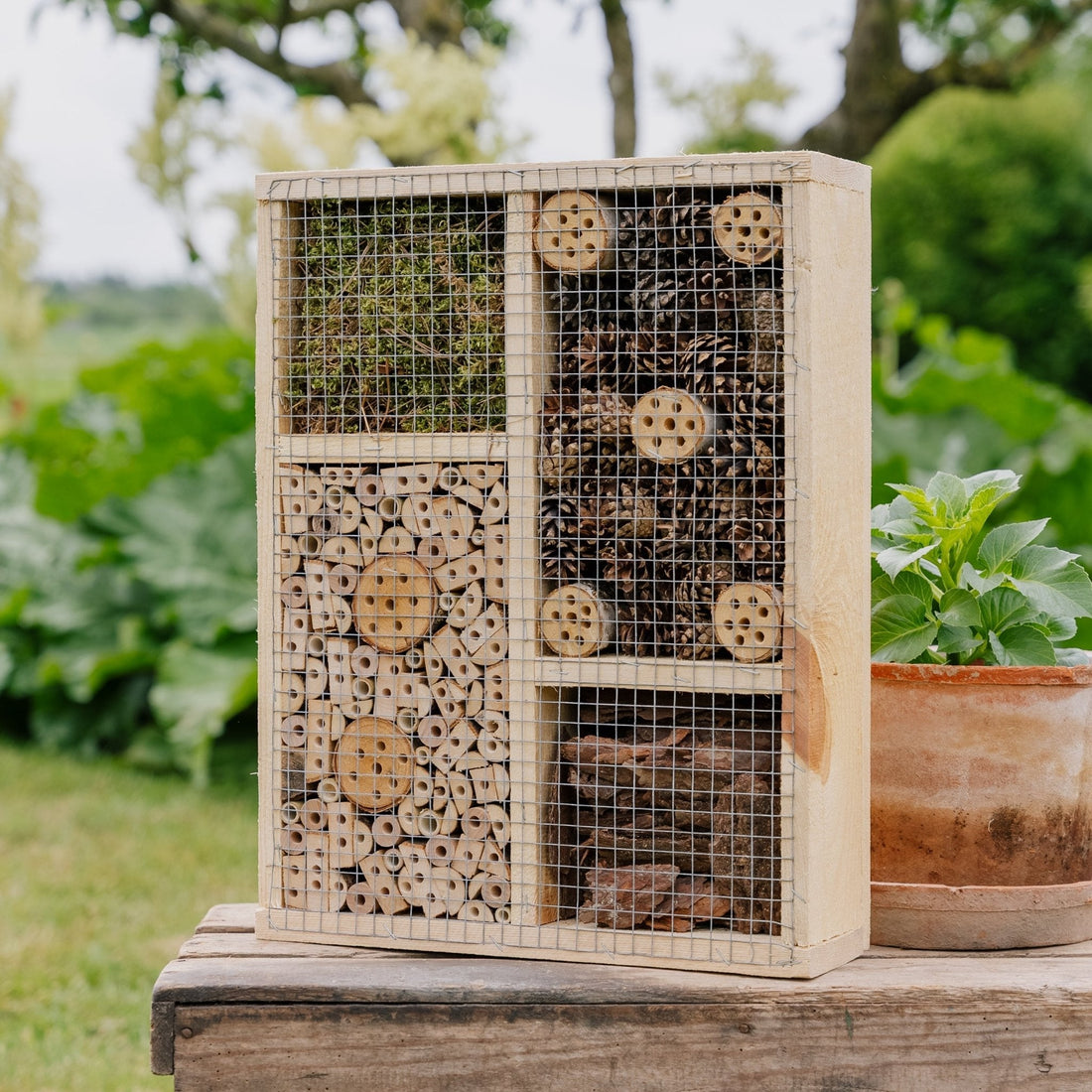 Insekthotel, large, L: 12 cm B: 50 cm H: 38 cm