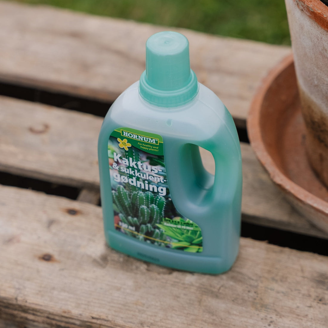 Kaktus og sukkulent gødning 350 ml